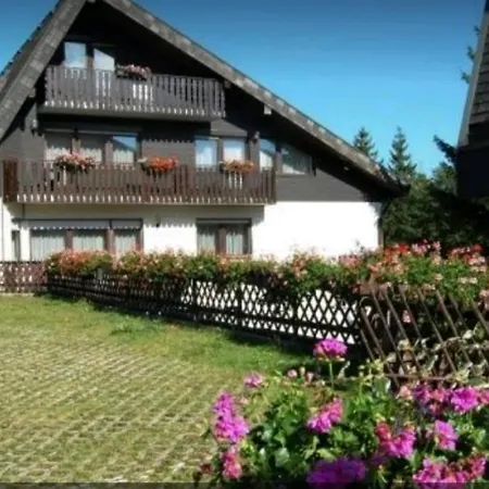 Ferienhaus-schoenwald Im Herzen Des Schwarzwaldes 2-zimmer-maisonette-wohnung Mit Balkon App 12 Schönwalde