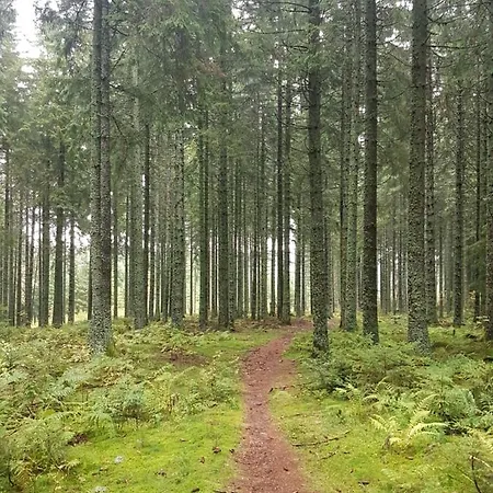 Ferienhaus-schoenwald Im Herzen Des Schwarzwaldes 2-zimmer-maisonette-wohnung Mit Balkon App 12