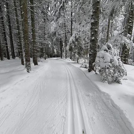 Ferienhaus-schoenwald Im Herzen Des Schwarzwaldes 2-zimmer-maisonette-wohnung Mit Balkon App 12 Appartement