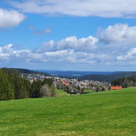 Appartement Ferienhaus-schoenwald Im Herzen Des Schwarzwaldes 2-zimmer-maisonette-wohnung Mit Balkon App 12 Schönwalde