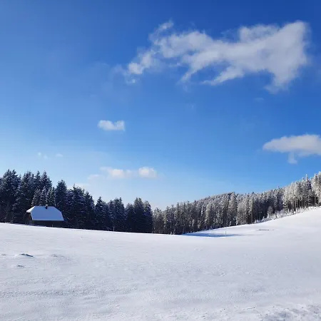 Ferienhaus-schoenwald Im Herzen Des Schwarzwaldes 2-zimmer-maisonette-wohnung Mit Balkon App 12