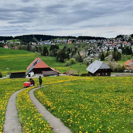 Appartement Ferienhaus-schoenwald Im Herzen Des Schwarzwaldes 2-zimmer-maisonette-wohnung Mit Balkon App 12 *